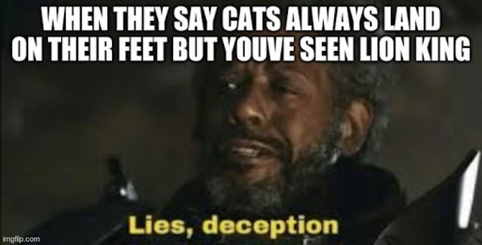 Deception of cats | image tagged in memes | made w/ Imgflip meme maker