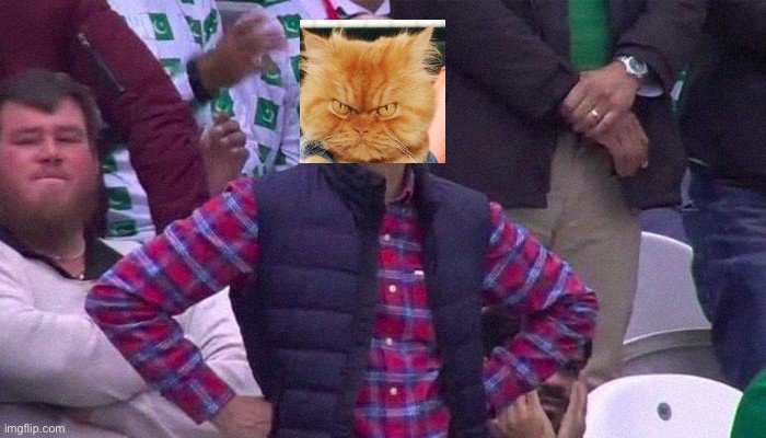 Angry Pakistani Fan | image tagged in angry pakistani fan | made w/ Imgflip meme maker