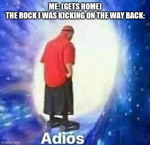 Adio | ME: (GETS HOME)
THE ROCK I WAS KICKING ON THE WAY BACK: | image tagged in adios | made w/ Imgflip meme maker