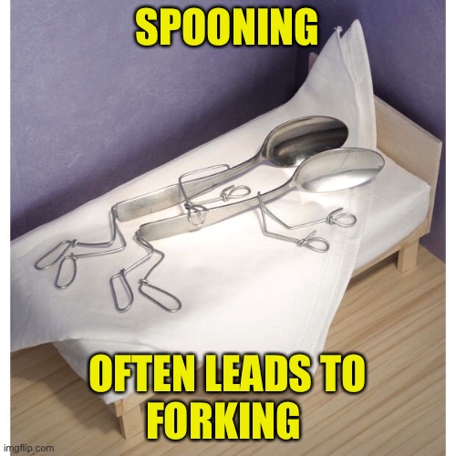 Spooning | SPOONING OFTEN LEADS TO
FORKING | image tagged in spooning | made w/ Imgflip meme maker