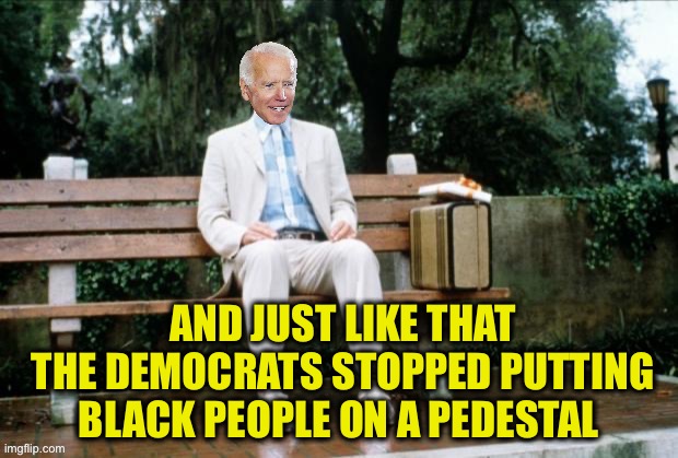 Forrest Biden | AND JUST LIKE THAT
THE DEMOCRATS STOPPED PUTTING BLACK PEOPLE ON A PEDESTAL | image tagged in forrest biden | made w/ Imgflip meme maker