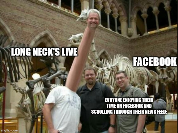 LONG NECK's LIVE On FB | LONG NECK'S LIVE; FACEBOOK; EVRYONE ENJOYING THEIR TIME ON FACEBOOK AND SCROLLING THROUGH THEIR NEWS FEED: | image tagged in long neck,troll,just for fun | made w/ Imgflip meme maker