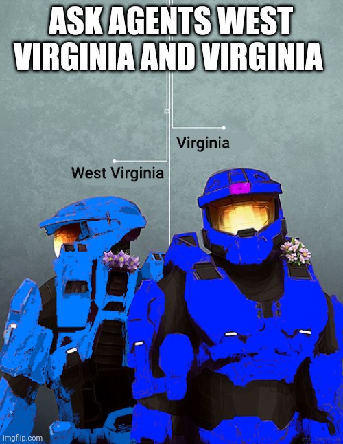 ASK AGENTS WEST VIRGINIA AND VIRGINIA | image tagged in project freelancer | made w/ Imgflip meme maker