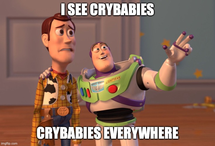 I can see the future | I SEE CRYBABIES; CRYBABIES EVERYWHERE | image tagged in memes,x x everywhere,riots,protesters | made w/ Imgflip meme maker