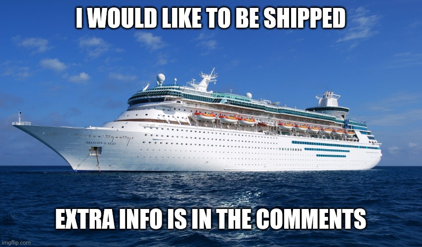 Cruise Ship | I WOULD LIKE TO BE SHIPPED; EXTRA INFO IS IN THE COMMENTS | image tagged in cruise ship,shipping,single | made w/ Imgflip meme maker