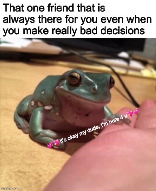 Wholesome froggie | image tagged in froggie,wholesome,hearts,adorable | made w/ Imgflip meme maker