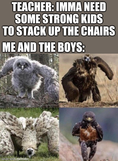TEACHER: IMMA NEED SOME STRONG KIDS TO STACK UP THE CHAIRS; ME AND THE BOYS: | image tagged in funny memes,memes | made w/ Imgflip meme maker