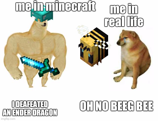 me in minecraft vs me in real life | me in minecraft; me in real life; I DEAFEATED AN ENDER DRAGON; OH NO BEEG BEE | image tagged in strong doge weak doge | made w/ Imgflip meme maker
