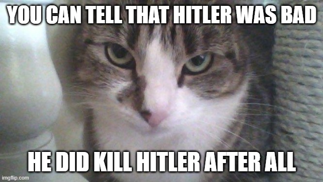 Lucy the sarcastic Cat | YOU CAN TELL THAT HITLER WAS BAD; HE DID KILL HITLER AFTER ALL | image tagged in lucy the sarcastic cat | made w/ Imgflip meme maker