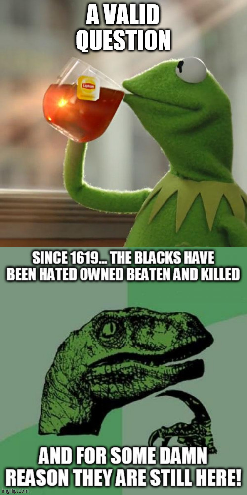 A VALID QUESTION | image tagged in memes,but that's none of my business | made w/ Imgflip meme maker