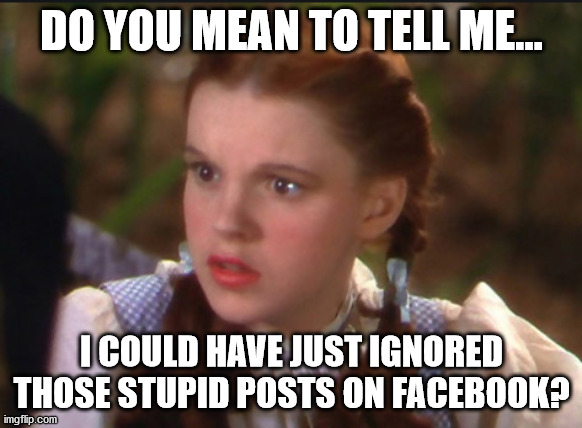 Dorothy and Facebook | DO YOU MEAN TO TELL ME... I COULD HAVE JUST IGNORED THOSE STUPID POSTS ON FACEBOOK? | image tagged in facebook,dorothy | made w/ Imgflip meme maker