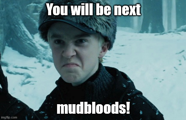 Draco Malfoy | You will be next mudbloods! | image tagged in draco malfoy | made w/ Imgflip meme maker