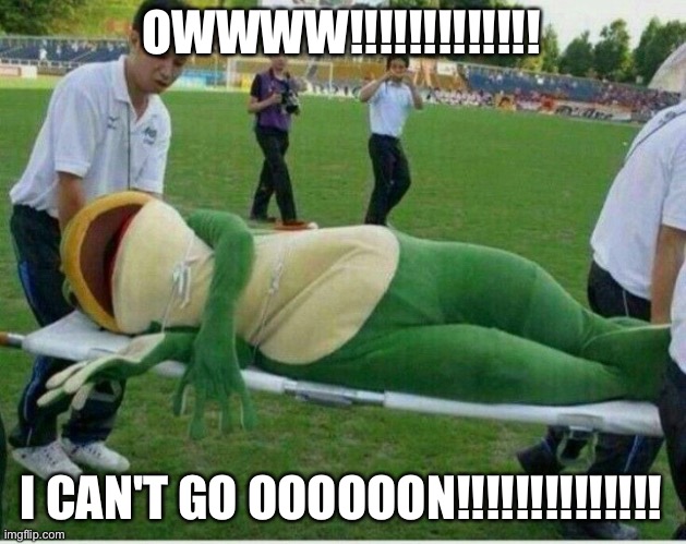 Oof | OWWWW!!!!!!!!!!!!! I CAN'T GO OOOOOON!!!!!!!!!!!!!! | image tagged in injured frog,memes,funny,sports,injury,frog | made w/ Imgflip meme maker
