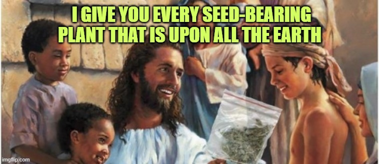 Genesis 1.29 | I GIVE YOU EVERY SEED-BEARING PLANT THAT IS UPON ALL THE EARTH | image tagged in genesis 1 29,seed bearing plant | made w/ Imgflip meme maker