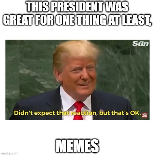 Didn't expect that reaction, but that's OK. | THIS PRESIDENT WAS GREAT FOR ONE THING AT LEAST, MEMES | image tagged in didn't expect that reaction but that's ok | made w/ Imgflip meme maker