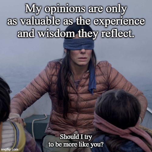 Common Sense is Uncommon | My opinions are only as valuable as the experience and wisdom they reflect. Should I try to be more like you? | image tagged in memes,bird box | made w/ Imgflip meme maker