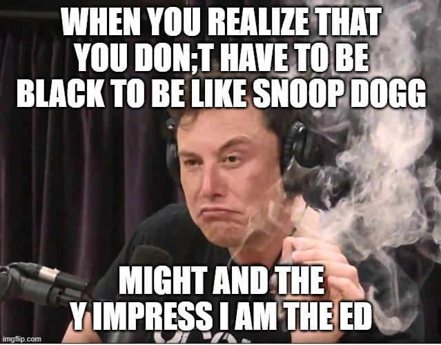 Elon Musk smoking a joint | WHEN YOU REALIZE THAT YOU DON;T HAVE TO BE BLACK TO BE LIKE SNOOP DOGG; MIGHT AND THE Y IMPRESS I AM THE ED | image tagged in elon musk smoking a joint | made w/ Imgflip meme maker