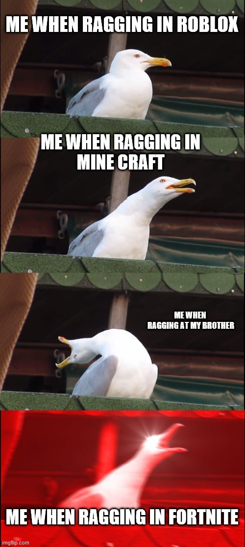 Inhaling Seagull | ME WHEN RAGGING IN ROBLOX; ME WHEN RAGGING IN 
MINE CRAFT; ME WHEN  RAGGING AT MY BROTHER; ME WHEN RAGGING IN FORTNITE | image tagged in memes,inhaling seagull | made w/ Imgflip meme maker