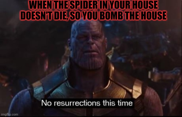 Thanos no resurrections | WHEN THE SPIDER IN YOUR HOUSE DOESN'T DIE, SO YOU BOMB THE HOUSE | image tagged in thanos no resurrections | made w/ Imgflip meme maker