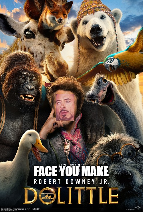 FACE YOU MAKE | image tagged in face you make robert downey jr | made w/ Imgflip meme maker