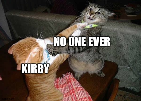 He fought honorably | NO ONE EVER; KIRBY | image tagged in two cats fighting for real | made w/ Imgflip meme maker