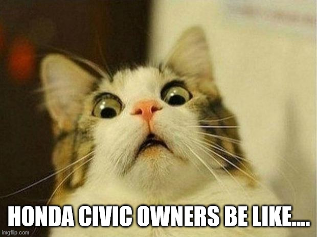 Scared Cat Meme | HONDA CIVIC OWNERS BE LIKE.... | image tagged in memes,scared cat | made w/ Imgflip meme maker