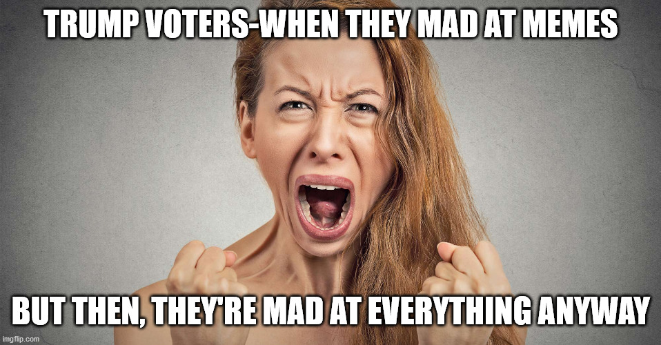 Trump Voters Are Mad | TRUMP VOTERS-WHEN THEY MAD AT MEMES; BUT THEN, THEY'RE MAD AT EVERYTHING ANYWAY | image tagged in angry,trump,republicans,democrats | made w/ Imgflip meme maker