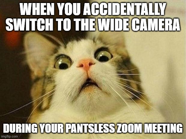 You thought you could pull off that professional look | WHEN YOU ACCIDENTALLY SWITCH TO THE WIDE CAMERA; DURING YOUR PANTSLESS ZOOM MEETING | image tagged in memes,scared cat,zoom,no pants,meeting | made w/ Imgflip meme maker