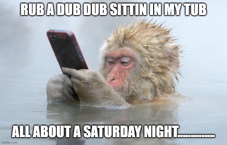 monkey in a hot tub with iphone | RUB A DUB DUB SITTIN IN MY TUB ALL ABOUT A SATURDAY NIGHT.............. | image tagged in monkey in a hot tub with iphone | made w/ Imgflip meme maker