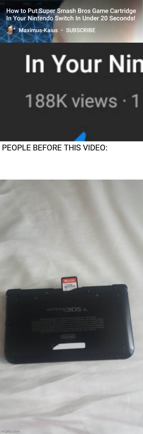 This | PEOPLE BEFORE THIS VIDEO: | image tagged in nintendo switch | made w/ Imgflip meme maker