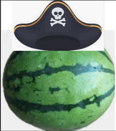 High Quality pirate_melon_ Blank Meme Template