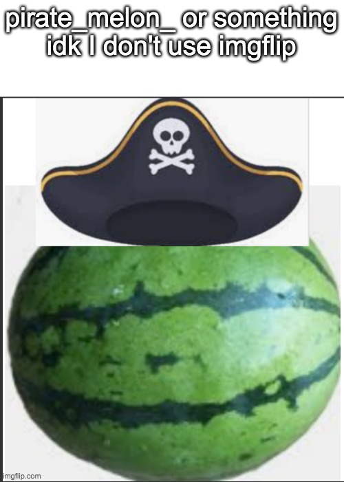 Is this the real one? (I am NOT asking for a face reveal btw) | pirate_melon_ or something idk I don't use imgflip | image tagged in pirate_melon_ | made w/ Imgflip meme maker