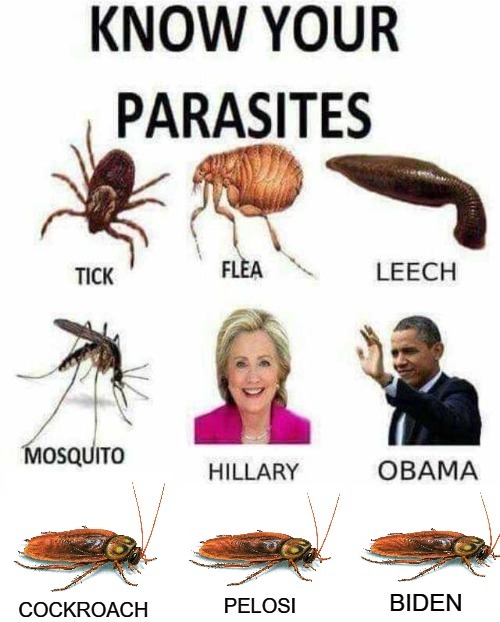 The More You Know: Know Your Parasites | image tagged in parasites,hillary clinton,barack obama,nancy pelosi is crazy,creepy joe biden,liberal leeches | made w/ Imgflip meme maker