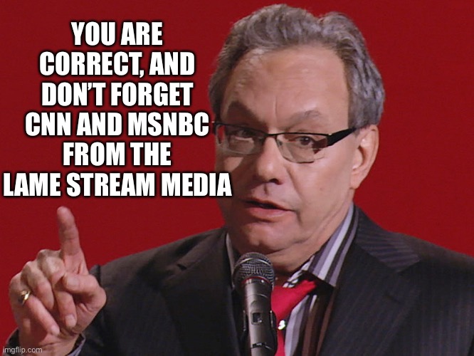 Gooba | YOU ARE CORRECT, AND DON’T FORGET CNN AND MSNBC
FROM THE LAME STREAM MEDIA | image tagged in gooba | made w/ Imgflip meme maker