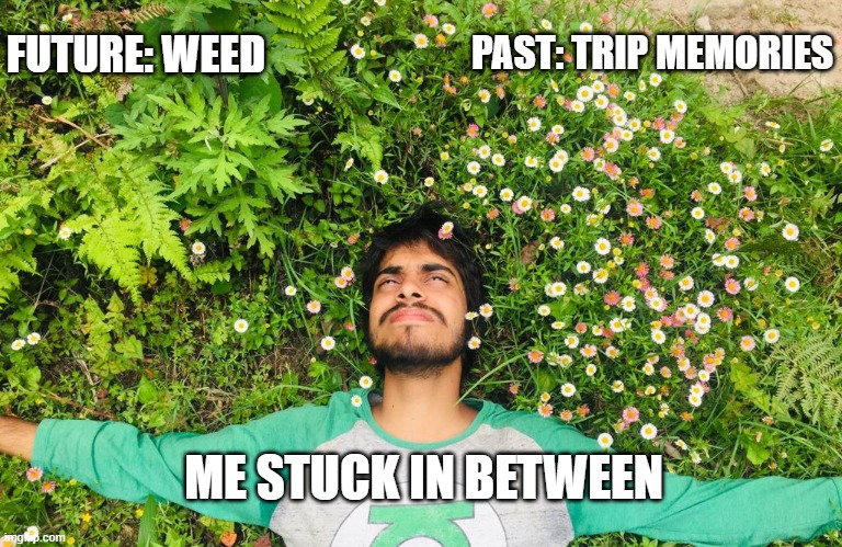 Me stuck in between | PAST: TRIP MEMORIES; FUTURE: WEED; ME STUCK IN BETWEEN | image tagged in stuck,sad,weed,funny,facial expressions | made w/ Imgflip meme maker