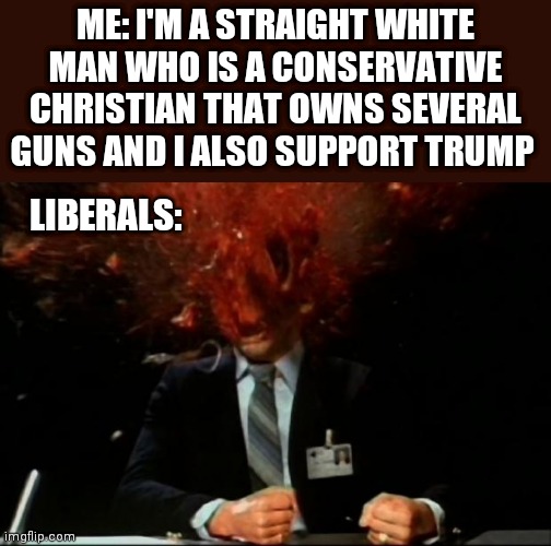 head explode | ME: I'M A STRAIGHT WHITE MAN WHO IS A CONSERVATIVE CHRISTIAN THAT OWNS SEVERAL GUNS AND I ALSO SUPPORT TRUMP; LIBERALS: | image tagged in head explode | made w/ Imgflip meme maker