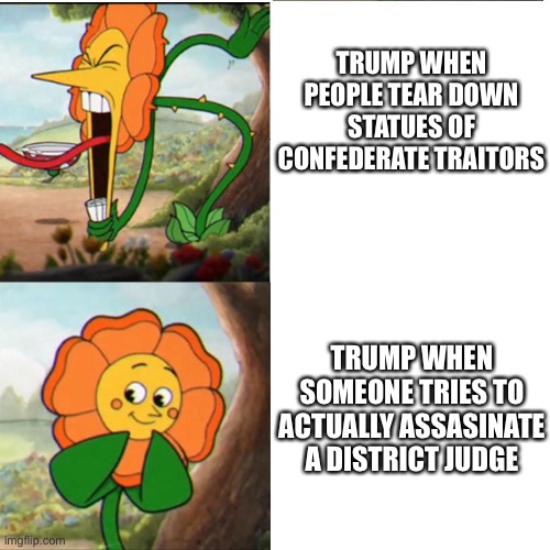 Ol’ Demented Donnie has his priorities backwards | TRUMP WHEN PEOPLE TEAR DOWN STATUES OF CONFEDERATE TRAITORS; TRUMP WHEN SOMEONE TRIES TO ACTUALLY ASSASINATE A DISTRICT JUDGE | image tagged in cuphead flower,trump,esther salas | made w/ Imgflip meme maker