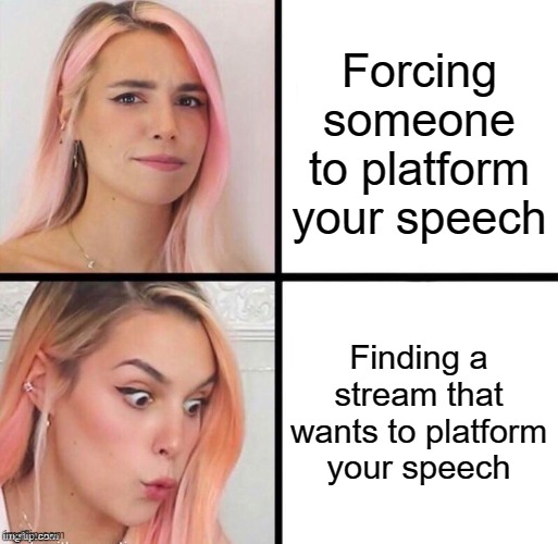 Forcing someone to platform your speech Finding a stream that wants to platform your speech | image tagged in marzia hotline bling | made w/ Imgflip meme maker