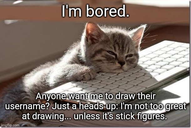 I'm bad at drawing, just FYI. | I'm bored. Anyone want me to draw their username? Just a heads up: I'm not too great at drawing... unless it's stick figures. | image tagged in bored keyboard cat | made w/ Imgflip meme maker