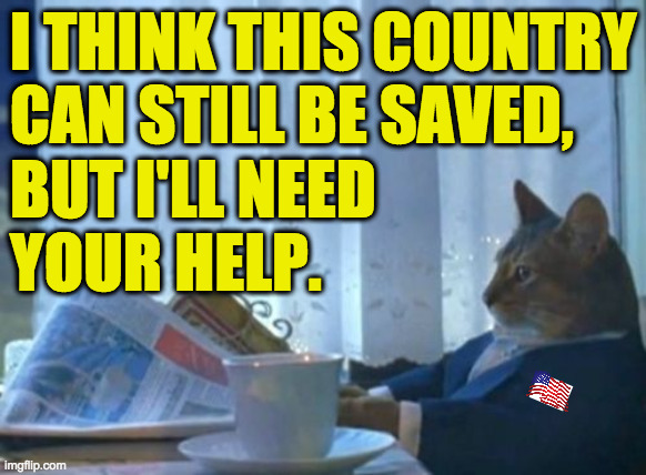 I Should Buy A Boat Cat announces run for presidency, because why not? | I THINK THIS COUNTRY
CAN STILL BE SAVED,
BUT I'LL NEED
YOUR HELP. | image tagged in memes,i should buy a boat cat,usa usa usa,filing deadline shmiling deadline | made w/ Imgflip meme maker