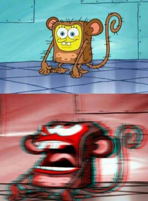 SpongeBob Monkey Blank Meme Template
