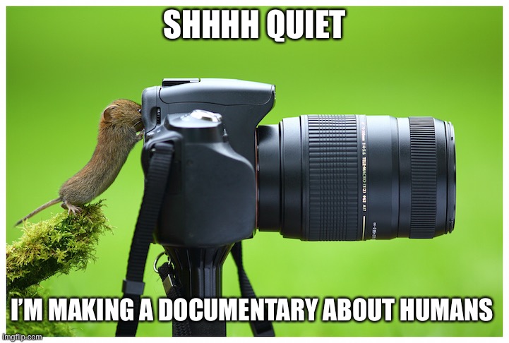 SHHH | SHHHH QUIET; I’M MAKING A DOCUMENTARY ABOUT HUMANS | image tagged in memes,documentary | made w/ Imgflip meme maker