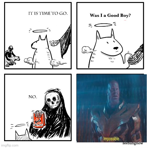 why?? | image tagged in was i a good boy | made w/ Imgflip meme maker