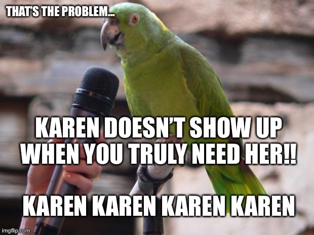Where is karen? | THAT’S THE PROBLEM... KAREN DOESN’T SHOW UP WHEN YOU TRULY NEED HER!! KAREN KAREN KAREN KAREN | image tagged in parrot,karen the manager will see you now | made w/ Imgflip meme maker