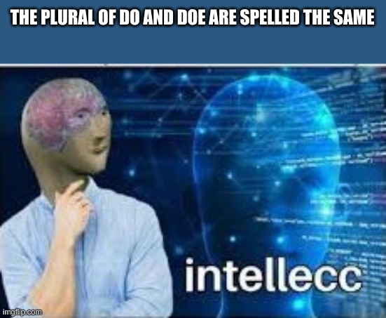 I just can't get over it | THE PLURAL OF DO AND DOE ARE SPELLED THE SAME | image tagged in intellecc | made w/ Imgflip meme maker