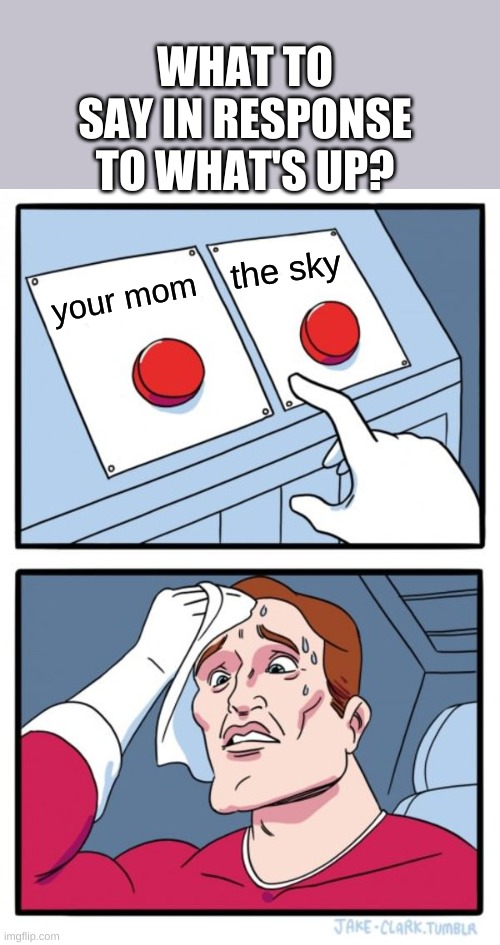 Two Buttons | WHAT TO SAY IN RESPONSE TO WHAT'S UP? the sky; your mom | image tagged in memes,two buttons | made w/ Imgflip meme maker