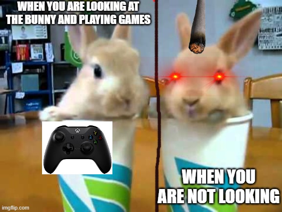 The evil bunny | WHEN YOU ARE LOOKING AT THE BUNNY AND PLAYING GAMES; WHEN YOU ARE NOT LOOKING | image tagged in animals,gaming,bunny | made w/ Imgflip meme maker