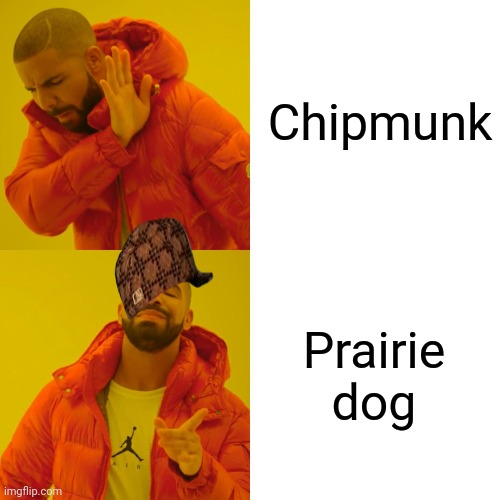 Drake Hotline Bling | Chipmunk; Prairie dog | image tagged in memes,drake hotline bling | made w/ Imgflip meme maker