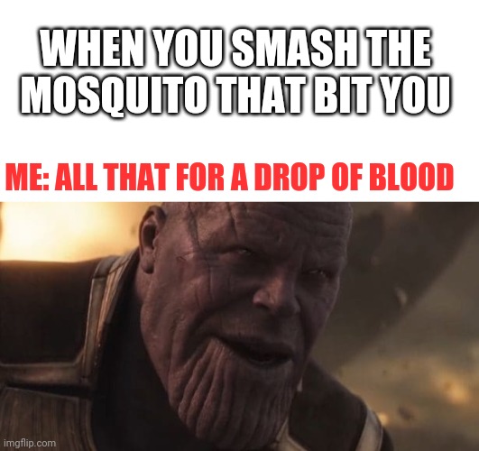 WHEN YOU SMASH THE MOSQUITO THAT BIT YOU; ME: ALL THAT FOR A DROP OF BLOOD | image tagged in blank white template,thanos all that for a drop of blood | made w/ Imgflip meme maker