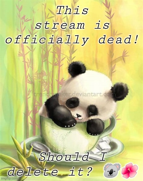 DA-DA-DEAD~¡ |  This stream is officially dead! Should I delete it? 🐨🌺 | made w/ Imgflip meme maker